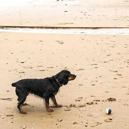 Large Cottage, Beach, Pubs Shops, Netflix, Bbq, Dog Friendly * 亨曼比