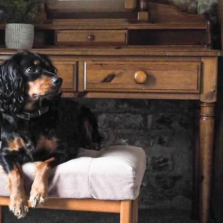 Large Cottage, Beach, Pubs Shops, Netflix, Bbq, Dog Friendly *
